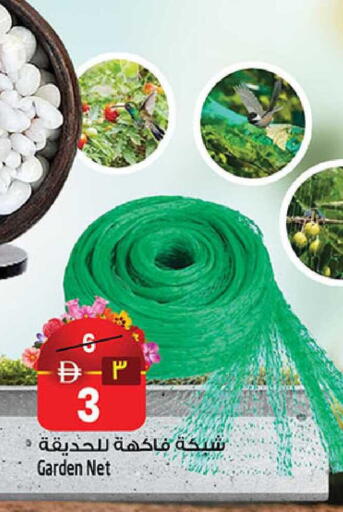 available at SAFARI HYPERMARKET  in UAE - Ras al Khaimah