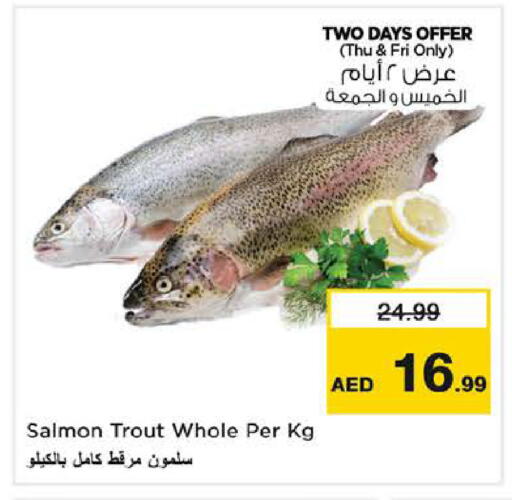 available at نستو هايبرماركت in الإمارات العربية المتحدة , الامارات - دبي