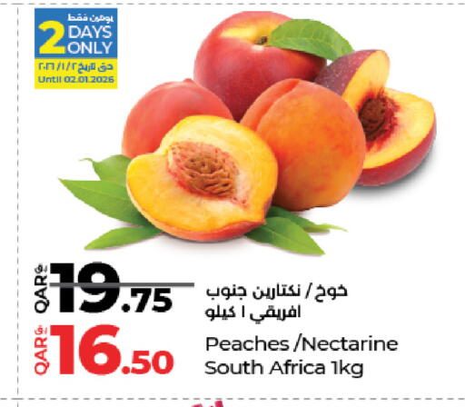 Nectarine from South Africa available at LuLu Hypermarket in Qatar - Doha