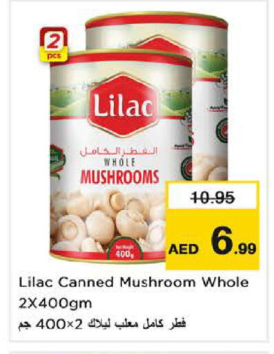 Mushroom available at نستو هايبرماركت in الإمارات العربية المتحدة , الامارات - دبي