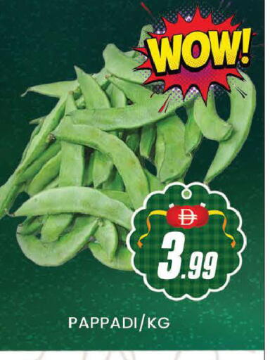 available at المدينة in الإمارات العربية المتحدة , الامارات - دبي