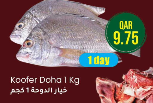 from Qatar available at رامبو مارت in قطر - الخور