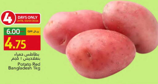 Potato from Bangladesh available at جلف فود سنتر in قطر - الخور