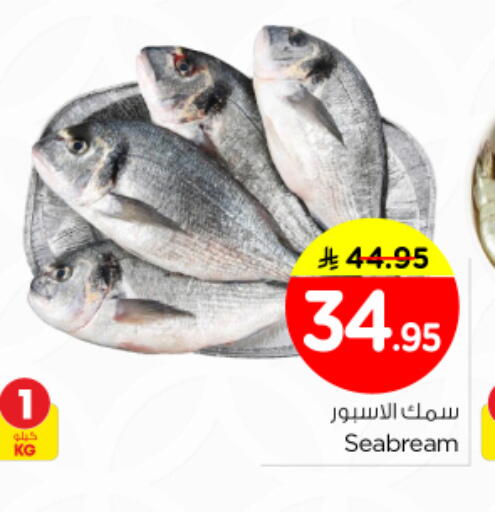 available at نستو in مملكة العربية السعودية, السعودية, سعودية - الخرج