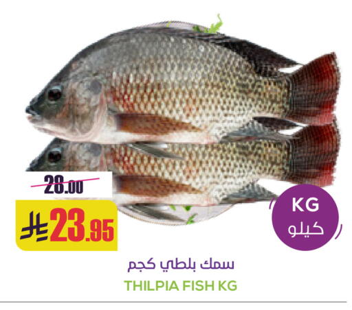 available at Sapt in KSA, Saudi Arabia, Saudi - Buraidah