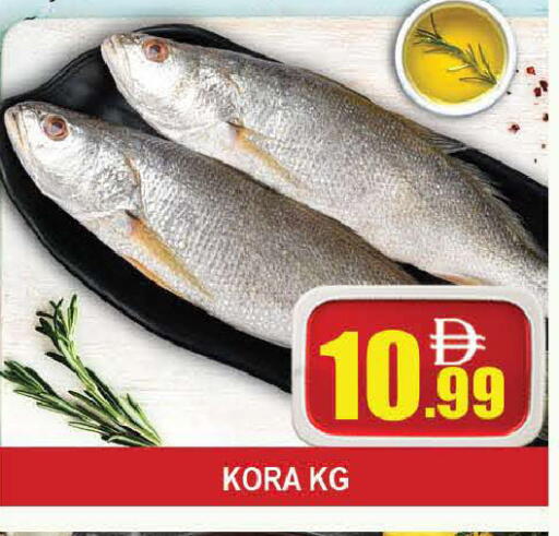 available at المدينة in الإمارات العربية المتحدة , الامارات - دبي