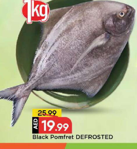 available at مارك & سيف in الإمارات العربية المتحدة , الامارات - الشارقة / عجمان