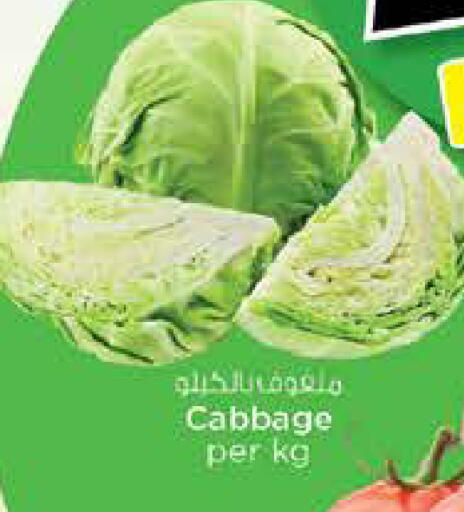 Cabbage available at نستو هايبرماركت in الإمارات العربية المتحدة , الامارات - الشارقة / عجمان