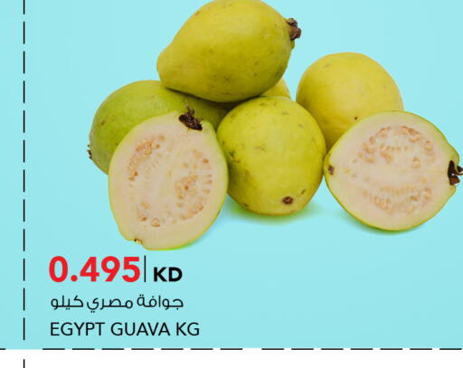 Guava from Egypt available at  ALNASSER HYPERMARKET in Kuwait - Ahmadi Governorate