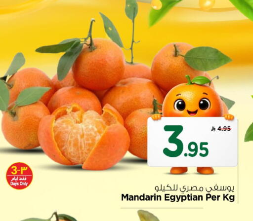 Mandarin from Egypt available at نستو in مملكة العربية السعودية, السعودية, سعودية - الخبر‎