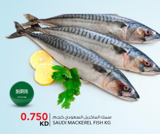 available at النصر هايبر ماركت in الكويت - محافظة الأحمدي