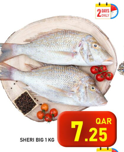 available at باشن هايبر ماركت in قطر - الشمال