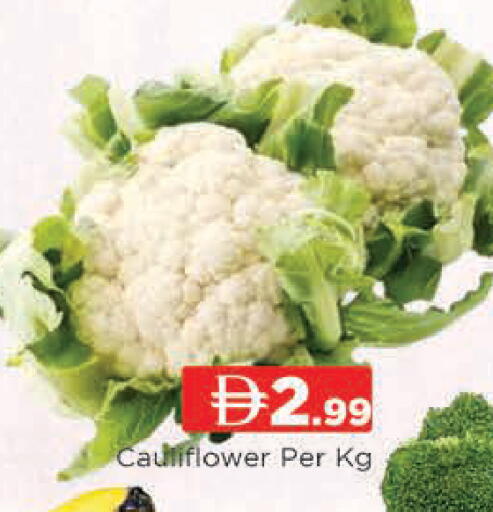 Cauliflower available at المدينة in الإمارات العربية المتحدة , الامارات - دبي