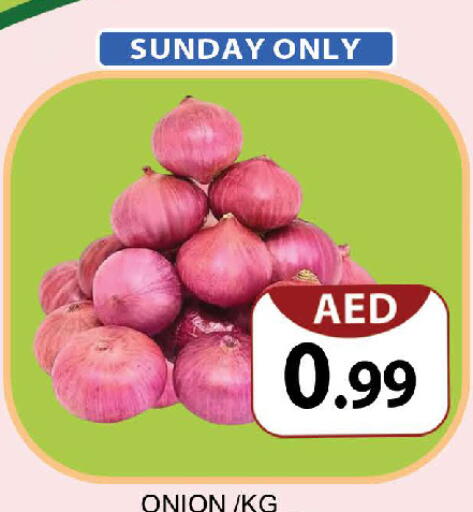 Onion available at المدينة in الإمارات العربية المتحدة , الامارات - دبي