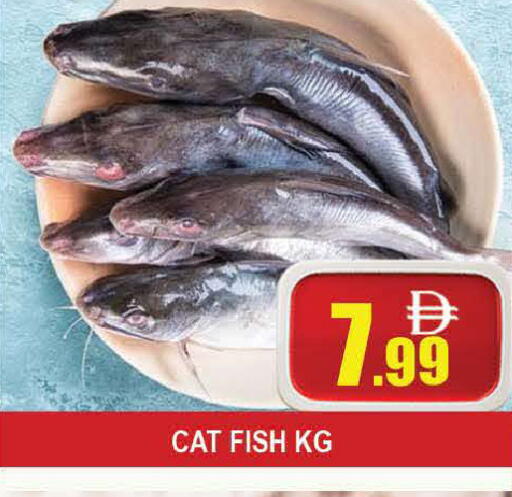 available at المدينة in الإمارات العربية المتحدة , الامارات - دبي