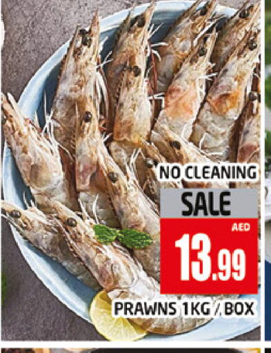 available at المدينة in الإمارات العربية المتحدة , الامارات - دبي