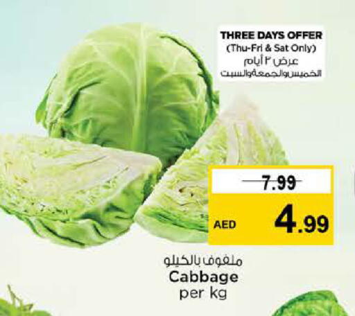Cabbage available at نستو هايبرماركت in الإمارات العربية المتحدة , الامارات - دبي