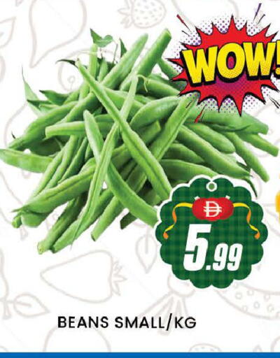 available at المدينة in الإمارات العربية المتحدة , الامارات - دبي