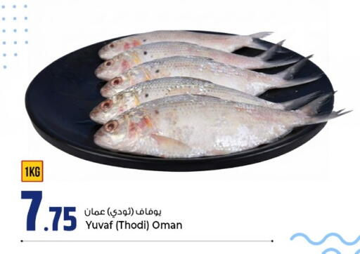 available at Rawabi Hypermarket in Qatar - Al Wakra