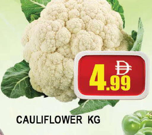 Cauliflower available at المدينة in الإمارات العربية المتحدة , الامارات - دبي