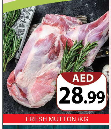 available at المدينة in الإمارات العربية المتحدة , الامارات - دبي