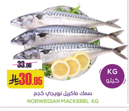 available at Sapt in KSA, Saudi Arabia, Saudi - Buraidah