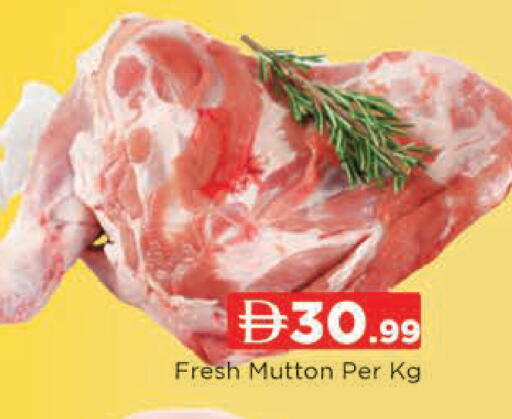 available at المدينة in الإمارات العربية المتحدة , الامارات - دبي