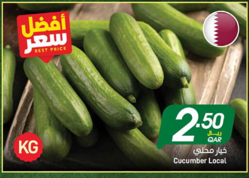 Cucumber available at ســبــار in قطر - الخور