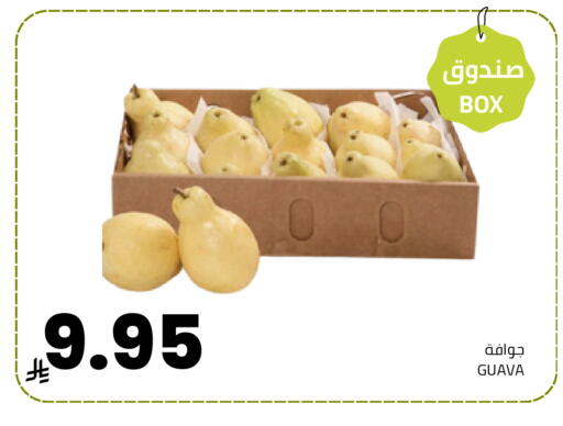 Guava available at Astra Markets in KSA, Saudi Arabia, Saudi - Tabuk
