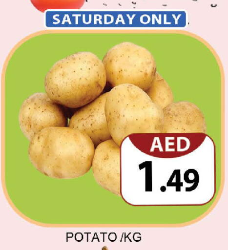 Potato available at المدينة in الإمارات العربية المتحدة , الامارات - دبي