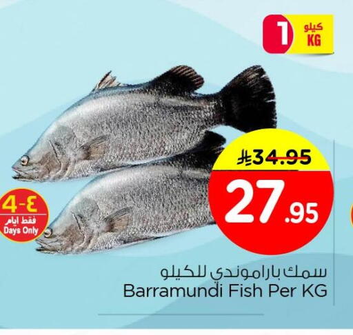 available at Nesto in KSA, Saudi Arabia, Saudi - Dammam