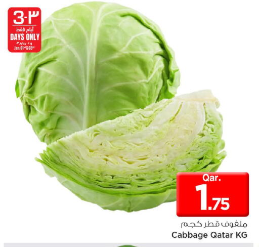 Cabbage from Qatar available at مارك & سيف in قطر - الدوحة