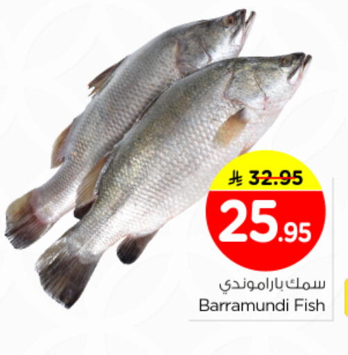 available at نستو in مملكة العربية السعودية, السعودية, سعودية - الخرج