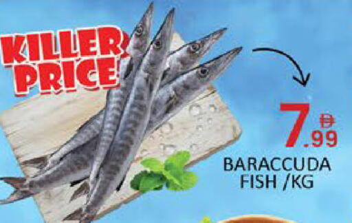 Mango available at مانجو هايبرماركت in الإمارات العربية المتحدة , الامارات - دبي