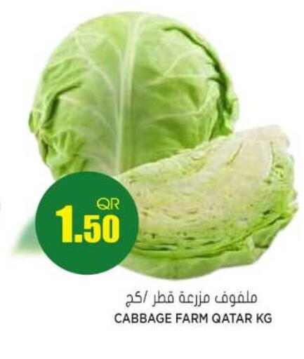 Cabbage from Qatar available at Grand Hypermarket in Qatar - Umm Salal