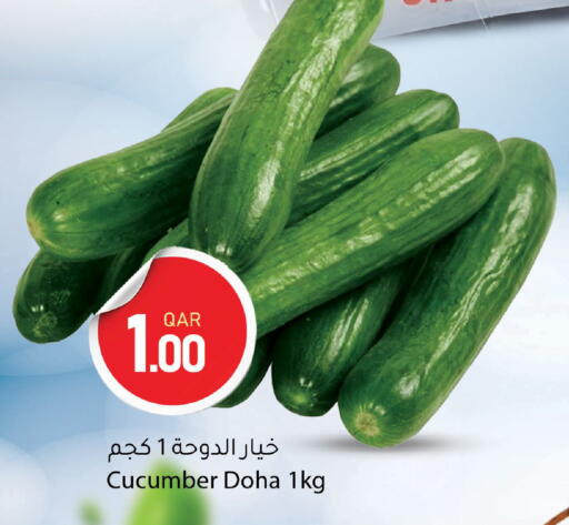 Cucumber from Qatar available at دانا ماركت in قطر - أم صلال