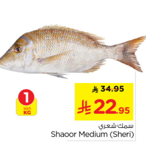 available at Nesto in KSA, Saudi Arabia, Saudi - Buraidah