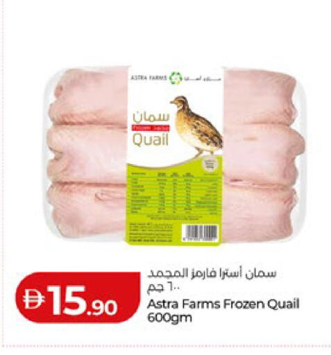 available at لولو هايبرماركت in الإمارات العربية المتحدة , الامارات - أبو ظبي