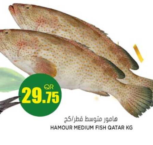 available at جراند هايبرماركت in قطر - الريان