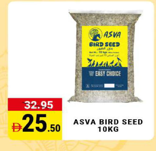 available at مدهور سوبرماركت in الإمارات العربية المتحدة , الامارات - دبي