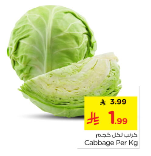 Cabbage available at نستو in مملكة العربية السعودية, السعودية, سعودية - الرياض