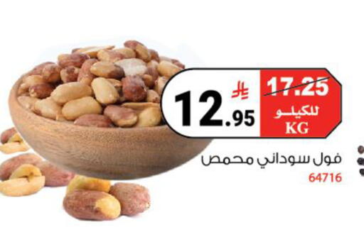 available at House Care in KSA, Saudi Arabia, Saudi - Mecca