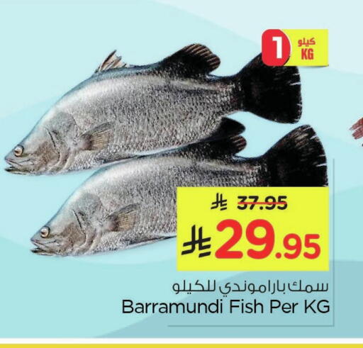 available at Nesto in KSA, Saudi Arabia, Saudi - Dammam