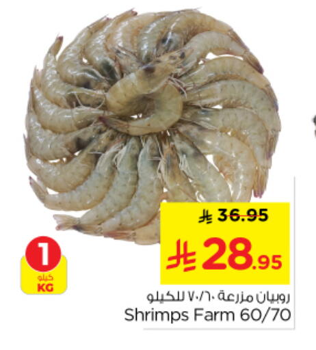 available at Nesto in KSA, Saudi Arabia, Saudi - Riyadh