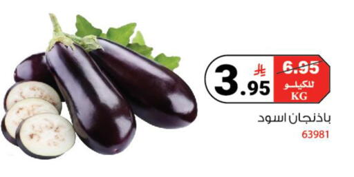 available at House Care in KSA, Saudi Arabia, Saudi - Mecca