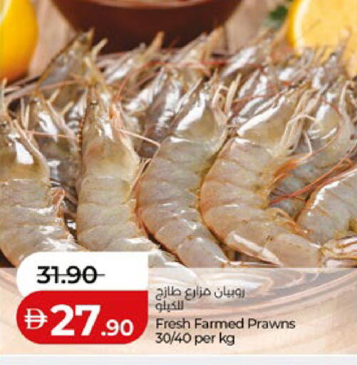 available at Lulu Hypermarket in UAE - Abu Dhabi