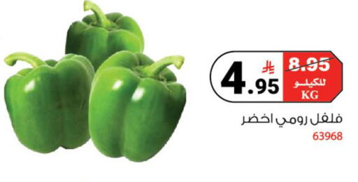 available at House Care in KSA, Saudi Arabia, Saudi - Mecca