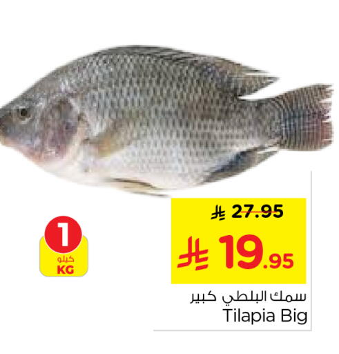 available at Nesto in KSA, Saudi Arabia, Saudi - Al-Kharj