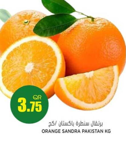 Orange from Pakistan available at جراند هايبرماركت in قطر - الشحانية