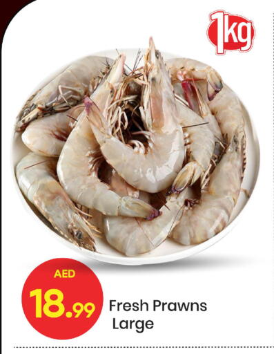 available at Mark & Save in UAE - Sharjah / Ajman